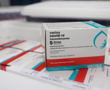 O Paraná recebeu nesta quinta-feira (21) mais 133.100 vacinas contra a Covid-19 da AstraZeneca/Fiocruz. Os imunizantes desembarcaram no Aeroporto Internacional Afonso Pena, em São José dos Pinhais, na Região Metropolitana de Curitiba, às 19h.   -  Curitiba, 21/10/2021 - Foto: Geraldo Bubniak/AEN
