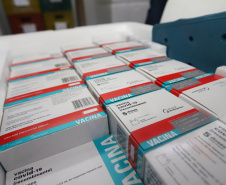 O Paraná recebeu nesta quinta-feira (21) mais 133.100 vacinas contra a Covid-19 da AstraZeneca/Fiocruz. Os imunizantes desembarcaram no Aeroporto Internacional Afonso Pena, em São José dos Pinhais, na Região Metropolitana de Curitiba, às 19h.   -  Curitiba, 21/10/2021 - Foto: Geraldo Bubniak/AEN