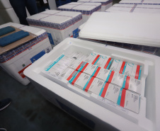 Um novo carregamento 133.100 vacinas AstraZeneca/Fiocruz   contra a Covid-19 chegam no Centro de Medicamentos do Paraná (Cemepar), em Curitiba, na noite desta quinta-feira (21).  Foto: Geraldo Bubniak/AEN