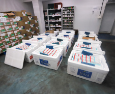 Um novo carregamento 133.100 vacinas AstraZeneca/Fiocruz   contra a Covid-19 chegam no Centro de Medicamentos do Paraná (Cemepar), em Curitiba, na noite desta quinta-feira (21).  Foto: Geraldo Bubniak/AEN