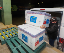 Um novo carregamento 133.100 vacinas AstraZeneca/Fiocruz   contra a Covid-19 chegam no Centro de Medicamentos do Paraná (Cemepar), em Curitiba, na noite desta quinta-feira (21).  Foto: Geraldo Bubniak/AEN