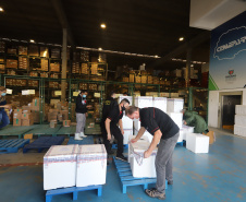 Um novo carregamento  555.750 imunizantes da Pfizer/BioNTech   contra a Covid-19 chegam no Centro de Medicamentos do Paraná (Cemepar), em Curitiba, na nesta sexta-feira (22).  Foto: Geraldo Bubniak/AEN