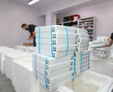 Um novo carregamento  555.750 imunizantes da Pfizer/BioNTech   contra a Covid-19 chegam no Centro de Medicamentos do Paraná (Cemepar), em Curitiba, na nesta sexta-feira (22).  Foto: Geraldo Bubniak/AEN