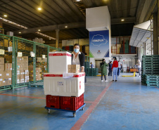 23.11.2021 Distribuição de Vacinas para regionais
Foto Gilson Abreu/AEN