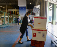 23.11.2021 Distribuição de Vacinas para regionais
Foto Gilson Abreu/AEN