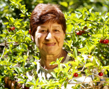 22.11.2021- Produção de acerola em Japurá.
Iracema Dias Rodrigues.
Foto Gilson Abreu/AEN