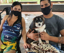CENTENÁRIO DO SUL  -  O Castramóvel passou por sete municípios neste mês. Ao todo, foram esterilizados 855 cães e gatos, uma média de 147 por município. Nesta quarta e quinta-feira (27 e 28), o programa chega a Bandeirantes, onde são esperados 116 animais.  -  Curitiba, 26/10/2021 - Foto: SEDEST