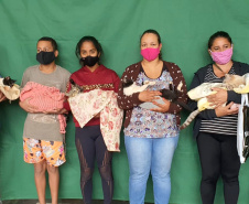 CENTENÁRIO DO SUL  -  O Castramóvel passou por sete municípios neste mês. Ao todo, foram esterilizados 855 cães e gatos, uma média de 147 por município. Nesta quarta e quinta-feira (27 e 28), o programa chega a Bandeirantes, onde são esperados 116 animais.  -  Curitiba, 26/10/2021 - Foto: SEDEST