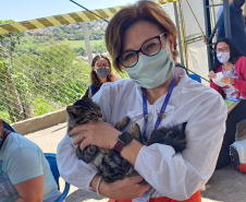 CORNÉLIO PROCÓPIO  -  O Castramóvel passou por sete municípios neste mês. Ao todo, foram esterilizados 855 cães e gatos, uma média de 147 por município. Nesta quarta e quinta-feira (27 e 28), o programa chega a Bandeirantes, onde são esperados 116 animais.  -  Curitiba, 26/10/2021 - Foto: SEDEST