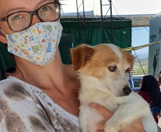 CORNÉLIO PROCÓPIO  -  O Castramóvel passou por sete municípios neste mês. Ao todo, foram esterilizados 855 cães e gatos, uma média de 147 por município. Nesta quarta e quinta-feira (27 e 28), o programa chega a Bandeirantes, onde são esperados 116 animais.  -  Curitiba, 26/10/2021 - Foto: SEDEST
