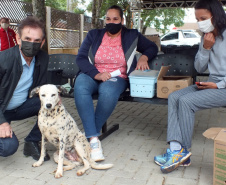 NOVA AMÉRICA DA COLINA -  O Castramóvel passou por sete municípios neste mês. Ao todo, foram esterilizados 855 cães e gatos, uma média de 147 por município. Nesta quarta e quinta-feira (27 e 28), o programa chega a Bandeirantes, onde são esperados 116 animais.  -  Curitiba, 26/10/2021 - Foto: SEDEST