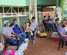 SANTO INÁCIO - O Castramóvel passou por sete municípios neste mês. Ao todo, foram esterilizados 855 cães e gatos, uma média de 147 por município. Nesta quarta e quinta-feira (27 e 28), o programa chega a Bandeirantes, onde são esperados 116 animais.  -  Curitiba, 26/10/2021 - Foto: SEDEST