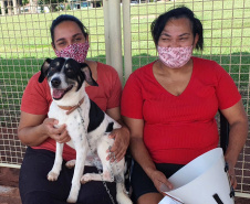 SANTO INÁCIO - O Castramóvel passou por sete municípios neste mês. Ao todo, foram esterilizados 855 cães e gatos, uma média de 147 por município. Nesta quarta e quinta-feira (27 e 28), o programa chega a Bandeirantes, onde são esperados 116 animais.  -  Curitiba, 26/10/2021 - Foto: SEDEST