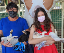 SANTO INÁCIO - O Castramóvel passou por sete municípios neste mês. Ao todo, foram esterilizados 855 cães e gatos, uma média de 147 por município. Nesta quarta e quinta-feira (27 e 28), o programa chega a Bandeirantes, onde são esperados 116 animais.  -  Curitiba, 26/10/2021 - Foto: SEDEST
