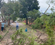 Secretário nacional de Defesa Civil percorre municípios do Paraná mais afetados por temporal. Foto: Defesa Civil
