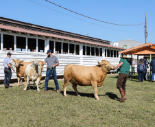 Veterinários do setor privado devem se recadastrar na Adapar, em novembro   -  Foto: Geraldo Bubniak/AEN