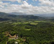 Uma equipe de biólogos que atua nos estudos exigidos pelo projeto da Nova Ferroeste iniciou na semana passada a quarta e última campanha da fauna, que faz o levantamento e identificação das espécies existentes nas áreas do traçado da ferrovia. Espécies endêmicas de anfíbios, anta, onça-parda, aves e animais ameaçados de extinção foram identificados na Serra do Mar, onde foram realizados os trabalhos.Foto: Conrrado Age/AEN