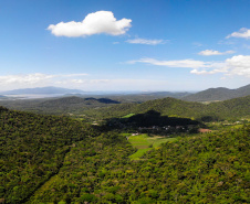 Uma equipe de biólogos que atua nos estudos exigidos pelo projeto da Nova Ferroeste iniciou na semana passada a quarta e última campanha da fauna, que faz o levantamento e identificação das espécies existentes nas áreas do traçado da ferrovia. Espécies endêmicas de anfíbios, anta, onça-parda, aves e animais ameaçados de extinção foram identificados na Serra do Mar, onde foram realizados os trabalhos.Foto: Conrrado Age/AEN