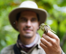 Uma equipe de biólogos que atua nos estudos exigidos pelo projeto da Nova Ferroeste iniciou na semana passada a quarta e última campanha da fauna, que faz o levantamento e identificação das espécies existentes nas áreas do traçado da ferrovia. Espécies endêmicas de anfíbios, anta, onça-parda, aves e animais ameaçados de extinção foram identificados na Serra do Mar, onde foram realizados os trabalhos.Foto: Conrrado Age/AEN