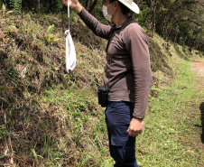 Uma equipe de biólogos que atua nos estudos exigidos pelo projeto da Nova Ferroeste iniciou na semana passada a quarta e última campanha da fauna, que faz o levantamento e identificação das espécies existentes nas áreas do traçado da ferrovia. Espécies endêmicas de anfíbios, anta, onça-parda, aves e animais ameaçados de extinção foram identificados na Serra do Mar, onde foram realizados os trabalhos.Foto: Heloísa Vieira/AEN