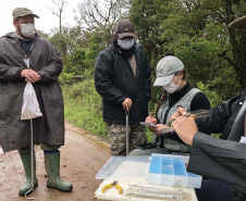 Uma equipe de biólogos que atua nos estudos exigidos pelo projeto da Nova Ferroeste iniciou na semana passada a quarta e última campanha da fauna, que faz o levantamento e identificação das espécies existentes nas áreas do traçado da ferrovia. Espécies endêmicas de anfíbios, anta, onça-parda, aves e animais ameaçados de extinção foram identificados na Serra do Mar, onde foram realizados os trabalhos.Foto: Heloísa Vieira/AEN