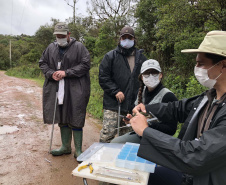 Uma equipe de biólogos que atua nos estudos exigidos pelo projeto da Nova Ferroeste iniciou na semana passada a quarta e última campanha da fauna, que faz o levantamento e identificação das espécies existentes nas áreas do traçado da ferrovia. Espécies endêmicas de anfíbios, anta, onça-parda, aves e animais ameaçados de extinção foram identificados na Serra do Mar, onde foram realizados os trabalhos.Foto: Heloísa Vieira/AEN