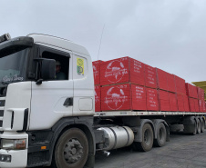 Nesta terça-feira (27), no Porto de Paranaguá, foi realizado mais um embarque de madeira em um navio do tipo roll on-roll off (Ro-ro). Esta é a segunda vez, na atualidade, que a embarcação - geralmente destinada para o transporte de veículos, projetos e maquinários -  é utilizada para essa carga geral.  -  Curitiba, 27/10/2021 - Foto: Nájia Furlan/Portos do Paraná