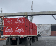 Nesta terça-feira (27), no Porto de Paranaguá, foi realizado mais um embarque de madeira em um navio do tipo roll on-roll off (Ro-ro). Esta é a segunda vez, na atualidade, que a embarcação - geralmente destinada para o transporte de veículos, projetos e maquinários -  é utilizada para essa carga geral.  -  Curitiba, 27/10/2021 - Foto: Nájia Furlan/Portos do Paraná