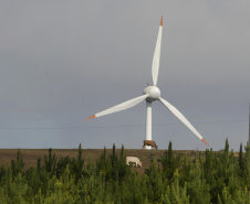 No Estado do Paraná está em funcionamento desde janeiro de 1999 a Usina Eólica de Palmas, com 2,5 MW, de propriedade da COPEL. OParaná foi pioneiro nesse segmento ao investir na instalação da primeira usina eólica. Foi no município de Palmas, Sul do Estado, em 1999, com potência de 2,5 megawatts. A usina foi resultado de um trabalho minucioso ? o Projeto Ventar ? iniciado pela Copel em 1994. - Palmas/PR, 13.05.2011 - Foto Jonas Oliveira