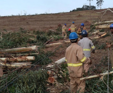 FRANCISCO ALVES - Os temporais que castigaram as regiões Sudoeste, Oeste, Noroeste e Norte do Paraná no mês de outubro já causaram, somados, mais danos ao sistema elétrico da Copel do que o ciclone-bomba, evento climático excepcional que atingiu o Leste do Paraná em junho de 2020