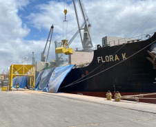 No Corredor de Exportação Leste do Porto de Paranaguá (Corex), duas operações em andamento chamam a atenção por fugirem da rotina do complexo portuário, pelo tipo de produto e modalidade de transporte adotado. A primeira pelo embarque de trigo para navegação interior (cabotagem). Outra, pelo sentido da carga e pela produtividade: 11 mil toneladas de milho de importação foram descarregadas em 24 horas. Foto: Portos do Paraná