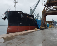 No Corredor de Exportação Leste do Porto de Paranaguá (Corex), duas operações em andamento chamam a atenção por fugirem da rotina do complexo portuário, pelo tipo de produto e modalidade de transporte adotado. A primeira pelo embarque de trigo para navegação interior (cabotagem). Outra, pelo sentido da carga e pela produtividade: 11 mil toneladas de milho de importação foram descarregadas em 24 horas. Foto: Portos do Paraná