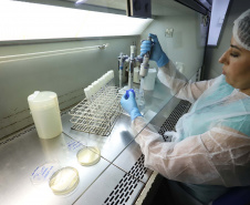 TECPAR - Laboratório de Microbiologia de Alimentos e Água - N/F: cabine de segurança biológica.Curitiba, 02-09-19.Foto: Arnaldo Alves / ANPr.