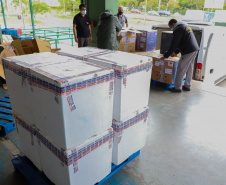 Mais 193 mil vacinas da Pfizer chegaram ao Paraná nesta sexta-feira  Foto: Ari Dias/AEN