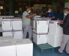 Estado recebe novas doses de vacinas contra a Covid-19 para adolescentes . Foto: Américo Antonio/SESA