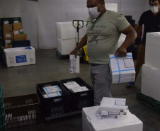 Estado recebe novas doses de vacinas contra a Covid-19 para adolescentes . Foto: Américo Antonio/SESA