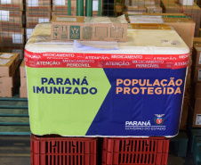 Saúde inicia nova distribuição de mais 671 mil doses aos municípios. Foto: Américo Antonio/SESA