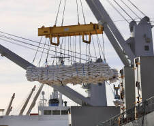 No berço 202 do Porto de Paranaguá, o navio Lady Lilly recebe uma carga inédita de gergelim em sacas. O produto nacional, que segue para exportação, é estivado direto nos cinco porões da embarcação. Em média, cada espaço vai levar cerca de 4 mil toneladas da semente, totalizando um embarque de 20 mil toneladas que têm como destino a Guatemala. - Paranaguá, 04/11/2021 - Foto: Cláudio Neves/Portos do Paraná