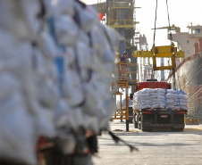 No berço 202 do Porto de Paranaguá, o navio Lady Lilly recebe uma carga inédita de gergelim em sacas. O produto nacional, que segue para exportação, é estivado direto nos cinco porões da embarcação. Em média, cada espaço vai levar cerca de 4 mil toneladas da semente, totalizando um embarque de 20 mil toneladas que têm como destino a Guatemala. - Paranaguá, 04/11/2021 - Foto: Cláudio Neves/Portos do Paraná