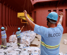 No berço 202 do Porto de Paranaguá, o navio Lady Lilly recebe uma carga inédita de gergelim em sacas. O produto nacional, que segue para exportação, é estivado direto nos cinco porões da embarcação. Em média, cada espaço vai levar cerca de 4 mil toneladas da semente, totalizando um embarque de 20 mil toneladas que têm como destino a Guatemala. - Paranaguá, 04/11/2021 - Foto: Cláudio Neves/Portos do Paraná