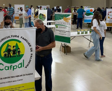 Primeira rodada de negócios aproxima compradores e cooperativas familiares na Ceasa. Foto: IDR