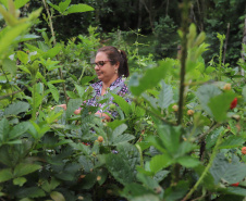 VRS Mata Atlântica ? Litoral Paraná - Apresentação do projeto em Morretes  e conversa com os produtores locais. Na foto produtora Rosana Robassa - Producao Amora    -  Foto: Geraldo Bubniak/AEN