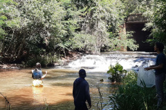 A Sanepar, o Grupo Amigos dos Rios e a Secretaria Municipal de Meio Ambiente de Cascavel farão o repovoamento dos rios Cascavel e Saltinho nesta quarta-feira (24), Dia do Rio. As ações comemorativas preveem o lançamento de sete mil peixes das espécies jundiá e lambari, nativas da bacia do Rio Iguaçu, da qual fazem parte os rios que abastecem Cascavel.  - Cascavel, 22/11/2021 - Foto: Sanepar