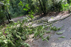 Temporal danifica estrutura do Parque Estadual Vitório Piassa, em Pato Branco - Pato Branco, 29/11/2021 - Foto: IAT