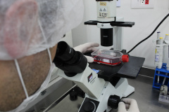 O Instituto de Tecnologia do Paraná (Tecpar), o Centro de Produção e Pesquisa de Imunobiológicos (CPPI) e a Fundação Estatal de Atenção em Saúde do Estado do Paraná (Funeas) buscam oportunidades de atuação em conjunto em projetos de Pesquisa e Desenvolvimento (P&D), de forma a trazer, de maneira mais eficiente, novas soluções para a área da saúde para o Paraná.- Curitiba, 11/11/2021 - Foto: Tecpar
