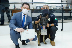 A Polícia Civil do Paraná (PCPR) recebeu homenagem inédita à atuação de um dos cães e seu condutor, em Maringá, região Norte do Estado, na terça-feira (9). É a primeira vez que um dos cachorros policiais da instituição é homenageado individualmente. O título do mérito comunitário foi concedido pela Câmara de Vereadores de Maringá ao cão Chris Cornell e ao investigador Marcos Shinnae.  - Maringá, 09/11/2021 - Foto: PCPR