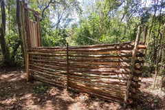 O Instituto Água e Terra (IAT), órgão vinculado à Secretaria de Estado do Desenvolvimento Sustentável e do Turismo (Sedest), iniciou a instalação de armadilhas para a captura de javalis no Parque Estadual Vila Rica do Espírito Santo, no município de Fênix. A espécie é considerada exótica invasora e causa prejuízos à fauna e flora local. - Curitiba, 29/11/2021 - Foto: IAT