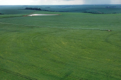 As condições climáticas favoráveis possibilitaram que os produtores paranaenses de milho encerrassem o plantio da primeira safra 2021/22 nesta semana, com a lavoura apresentando bom desenvolvimento. Esse é um dos assuntos abordados no Boletim de Conjuntura Agropecuária referente ao período de 05 a 11 de novembro. Foto: José Fernando Ogura/AEN