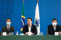 PEDÁGIO - COLETIVA 2