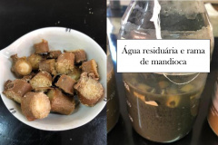 Projeto da UEL investe em energia limpa a partir da produção de hidrogênio e metano da fécula de mandioca. Foto: UEL